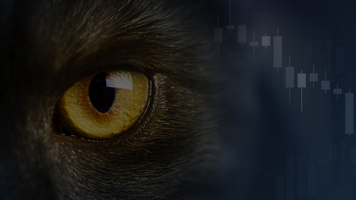 Corvil’s Timely Solution to CAT NMS Plan Clock-Sync Compliance