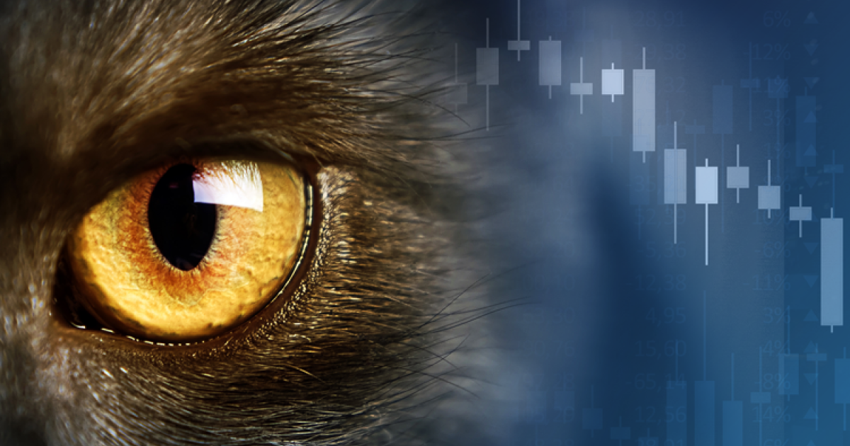 Corvil’s Timely Solution to CAT NMS Plan ClockSync Compliance Pico